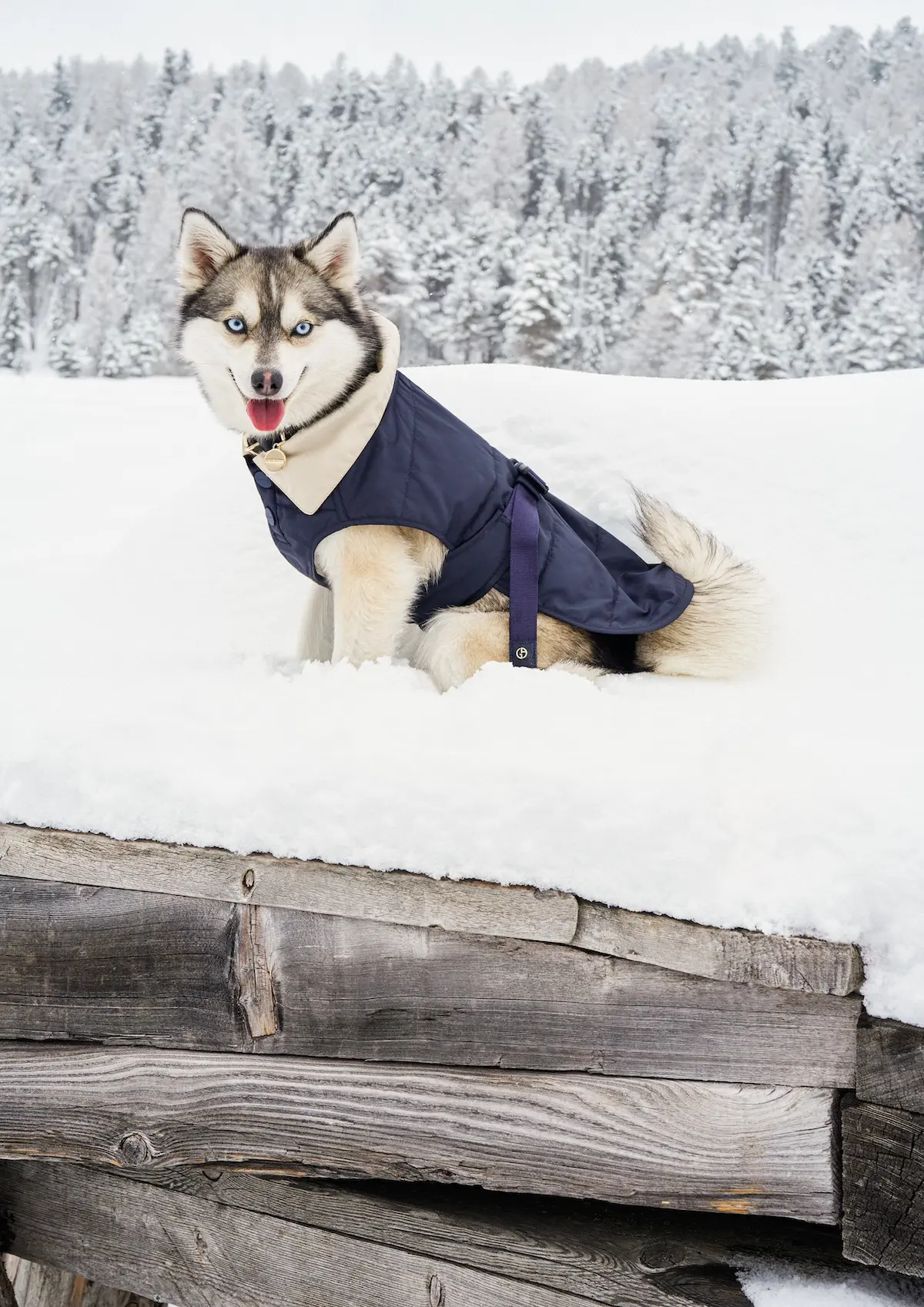 Giorgio Armani Neve : l’élégance alpine réinventée pour l’Automne-Hiver 2025-2026