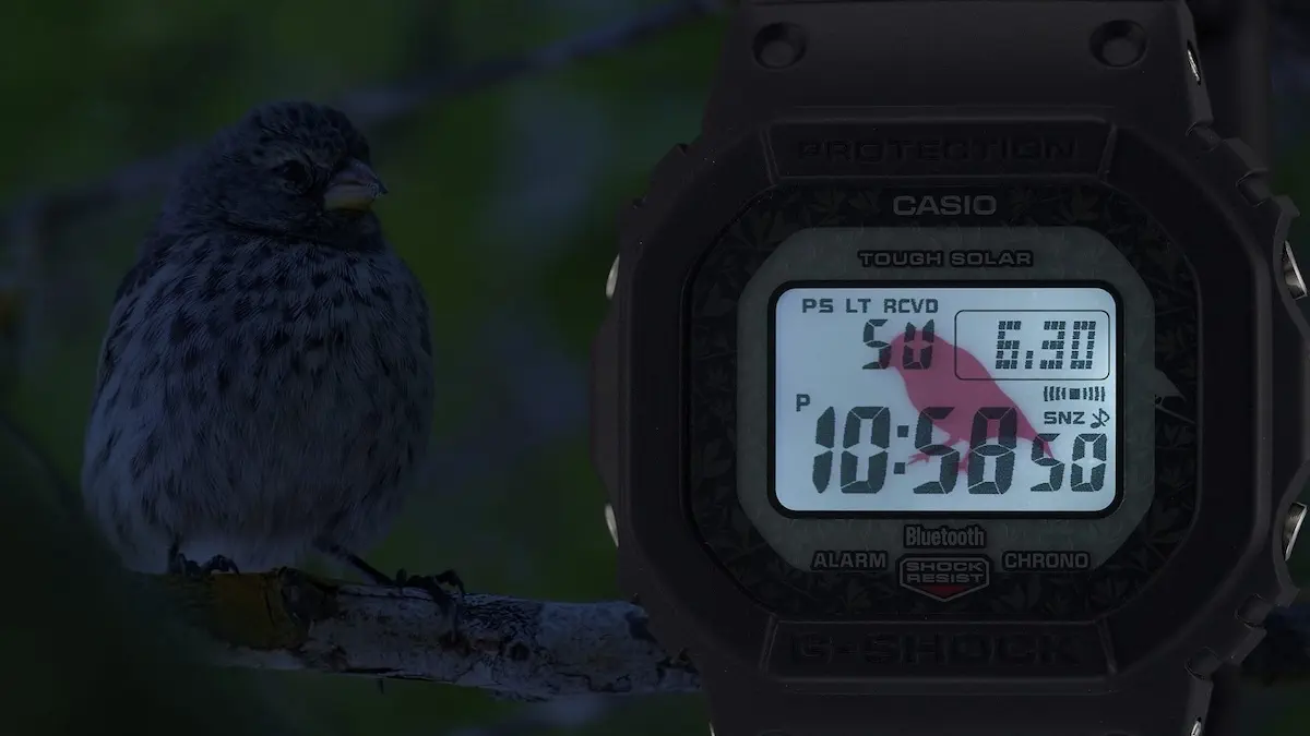 Aux Galápagos, G-SHOCK saisit l’esprit du vivant avec une collection engagée en hommage aux espèces emblématiques
