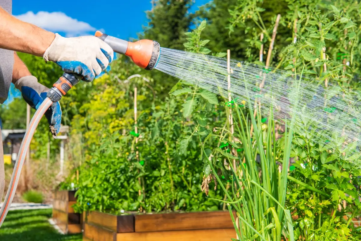 Arroser son jardin tout en faisant des économies, c'est possible !