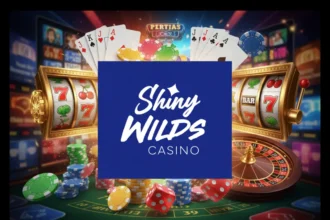 Shiny Wilds Casino, l’ascension d’un nouvel acteur crédible du jeu en ligne
