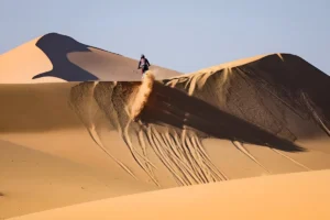 Dakar 2026 – Étape 8 : Luciano Benavides prend la tête, Variawa frappe fort en autos