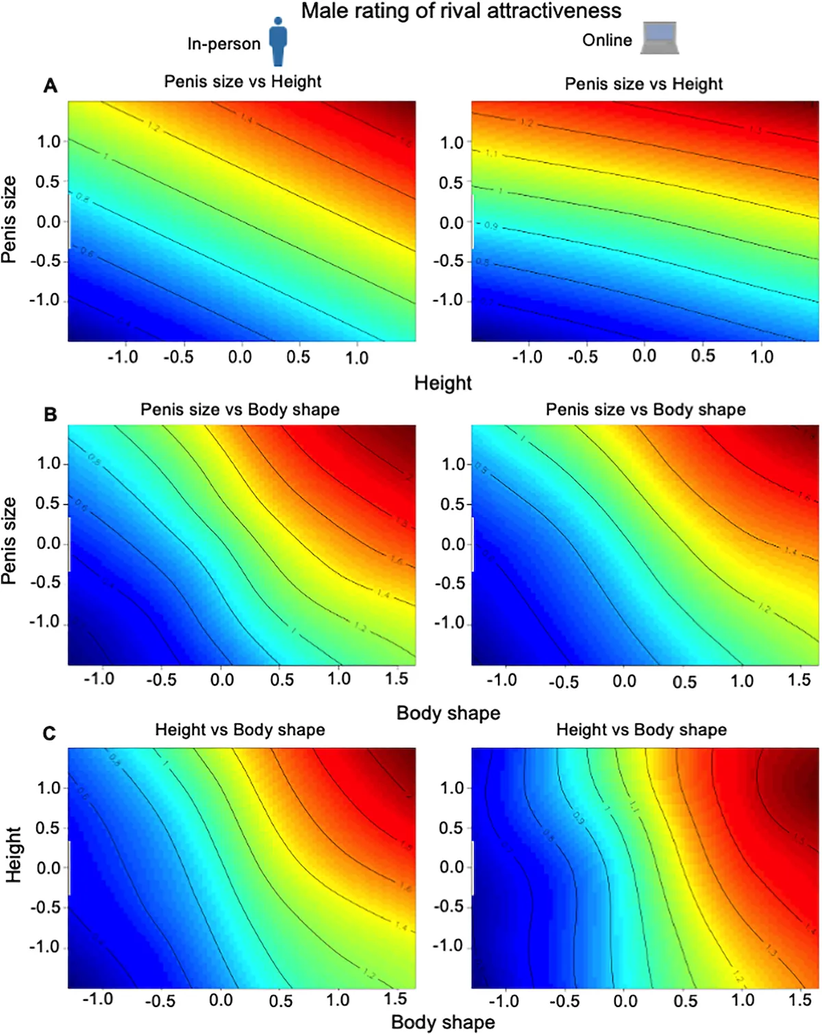 La taille du pénis n’est pas un hasard : ce que révèle l’évolution humaine