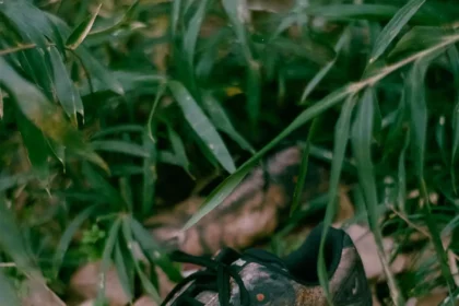 doublet libère un Tyrannosaurus Rex sur la ASICS GEL-Quantum 360