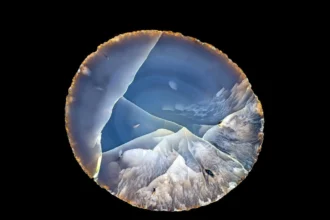 Actualités des expositions à Paris printemps 2026 : les 5 incontournables du Grand Paris