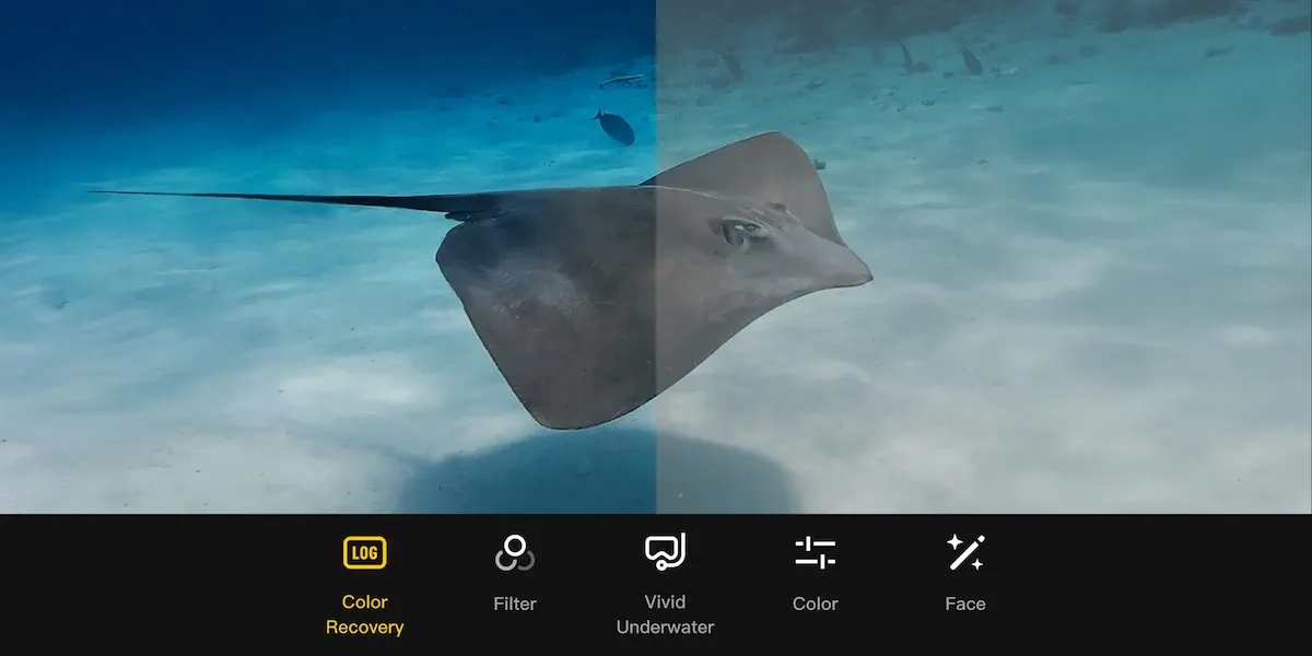 DJI Osmo Action 6 5 DJI Osmo Action 6 : capteur 1/1,1 pouce, ouverture variable f/2-4 et vidéo 8K