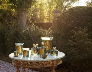 Trudon ressuscite la figuerie royale de Versailles en parfum