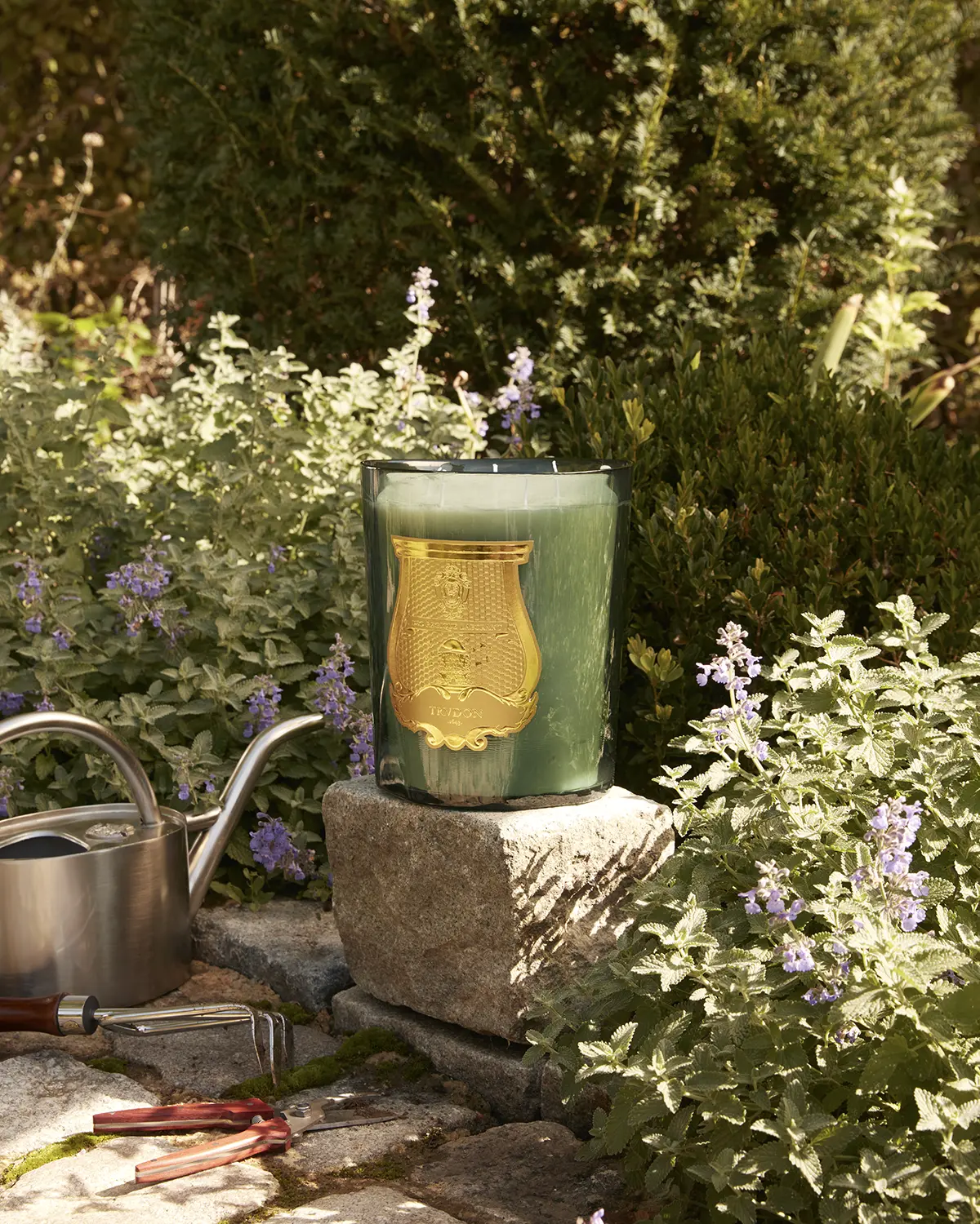 Trudon ressuscite la figuerie royale de Versailles en parfum