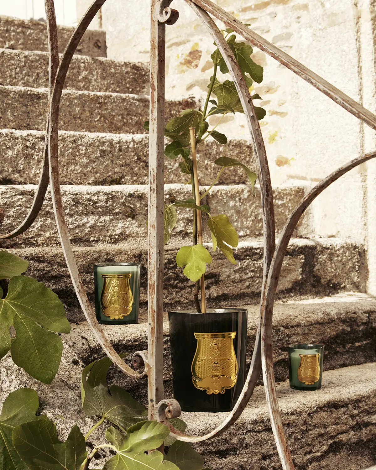 Trudon ressuscite la figuerie royale de Versailles en parfum