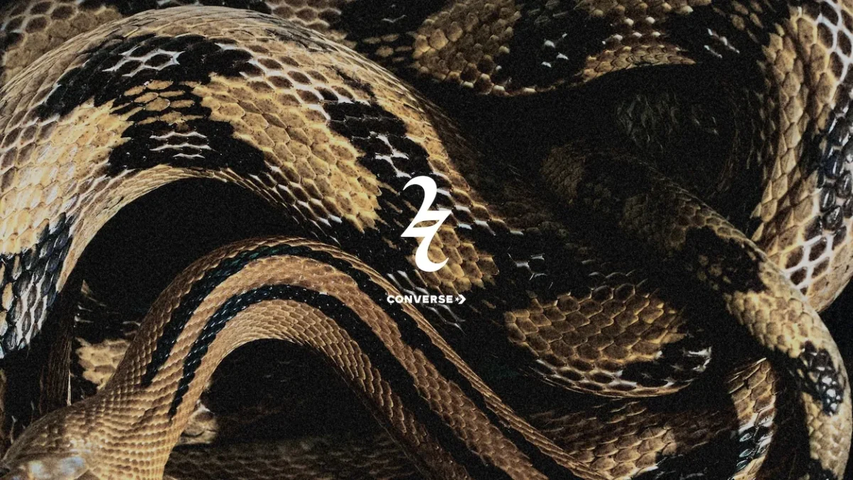 La Converse Shai 001 Premium Slither impose un nouveau langage du basket