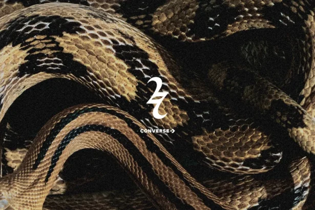 La Converse Shai 001 Premium Slither impose un nouveau langage du basket