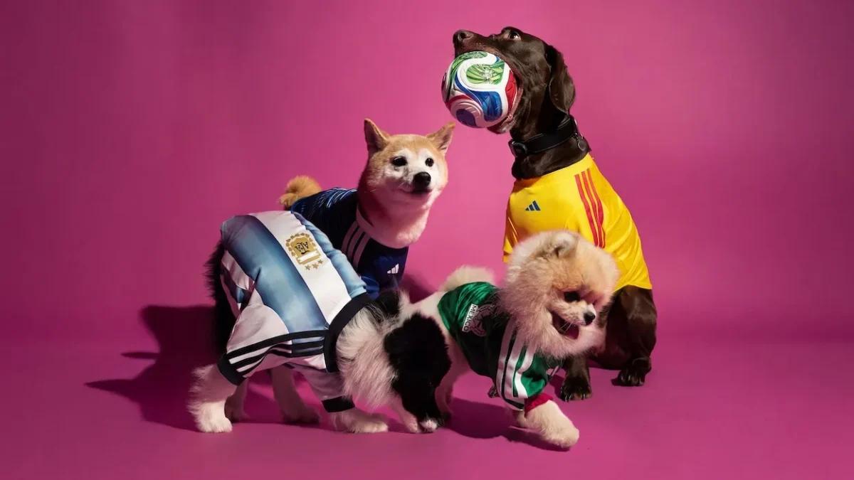 adidas lance des maillots pour animaux aux couleurs de la Coupe du monde 2026