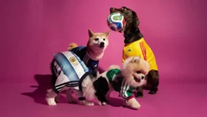 adidas lance des maillots pour animaux aux couleurs de la Coupe du monde 2026