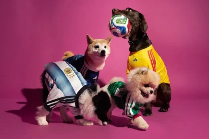 adidas lance des maillots pour animaux aux couleurs de la Coupe du monde 2026