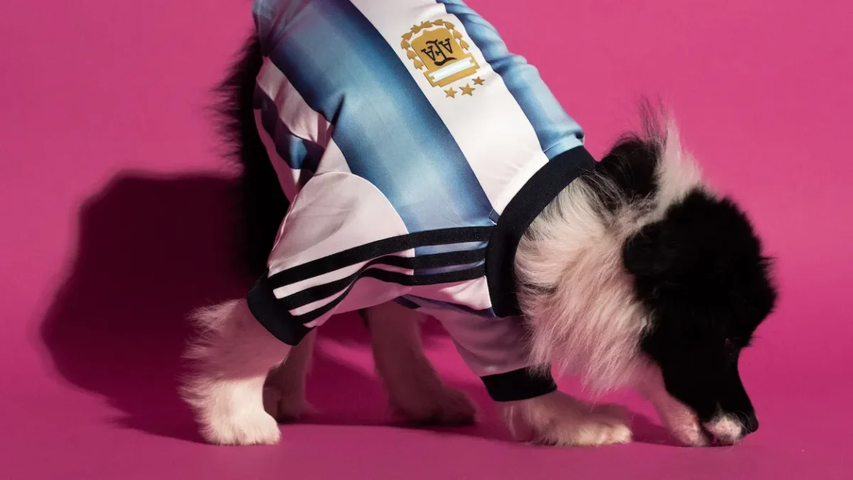 adidas lance des maillots pour animaux aux couleurs de la Coupe du monde 2026