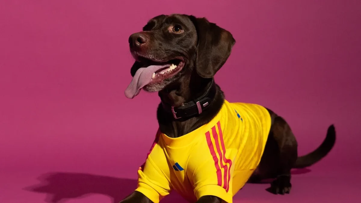 adidas lance des maillots pour animaux aux couleurs de la Coupe du monde 2026