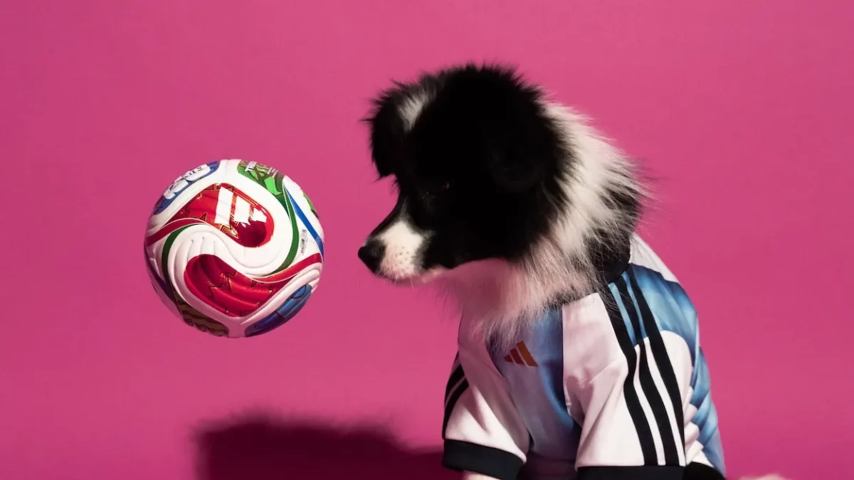 adidas lance des maillots pour animaux aux couleurs de la Coupe du monde 2026