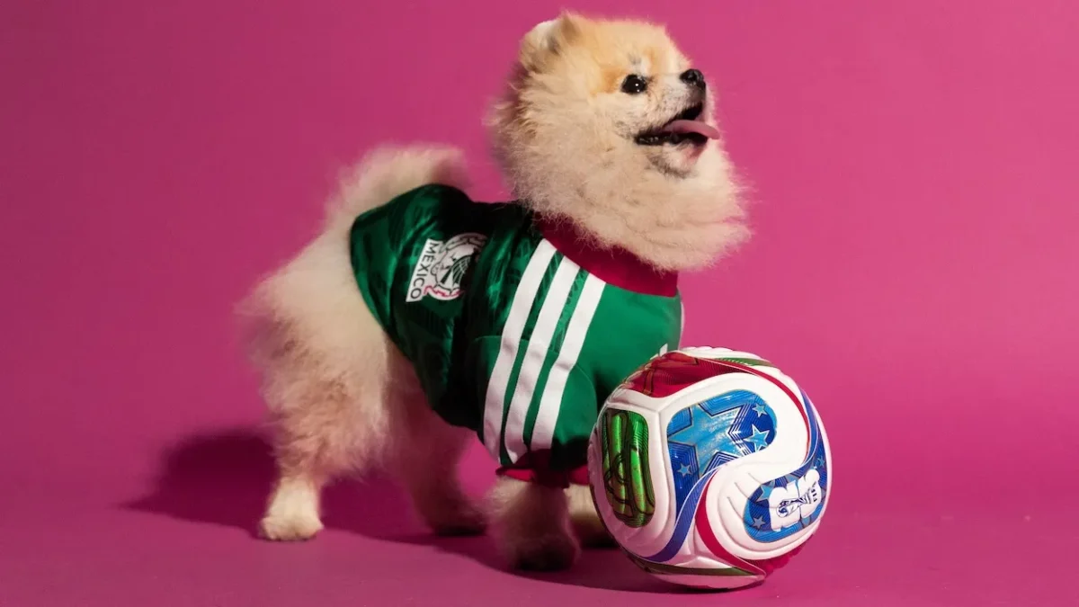 adidas lance des maillots pour animaux aux couleurs de la Coupe du monde 2026