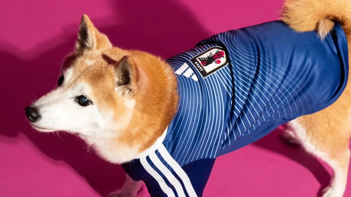 adidas lance des maillots pour animaux aux couleurs de la Coupe du monde 2026