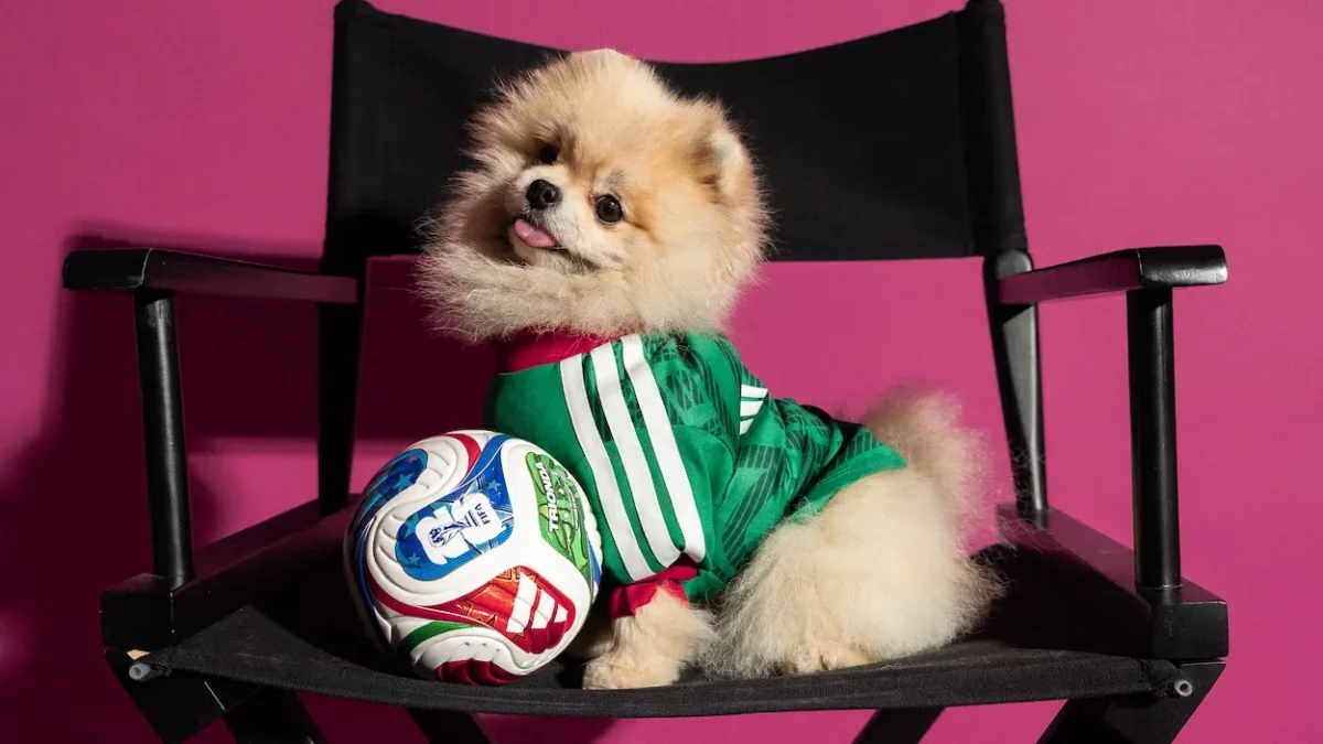 adidas lance des maillots pour animaux aux couleurs de la Coupe du monde 2026