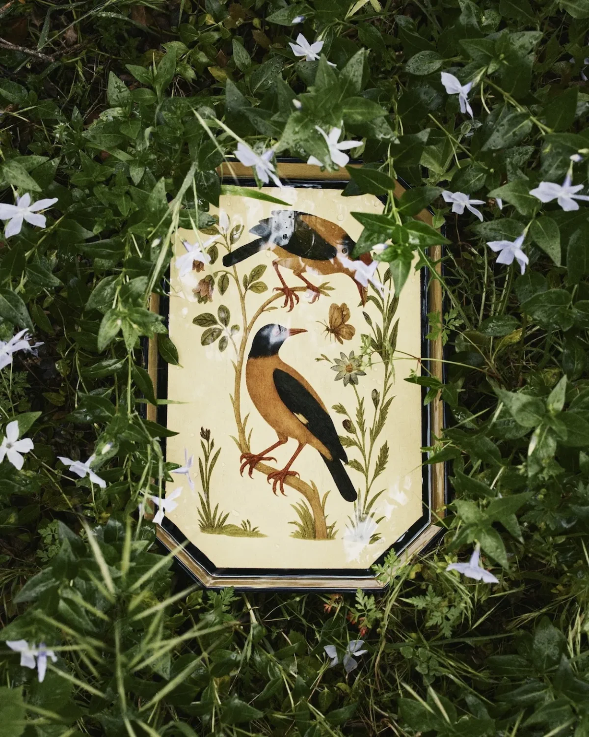Chez Maria Berenson, ZARA Home ouvre les portes d'un art de vivre façonné par le voyage et l'héritage