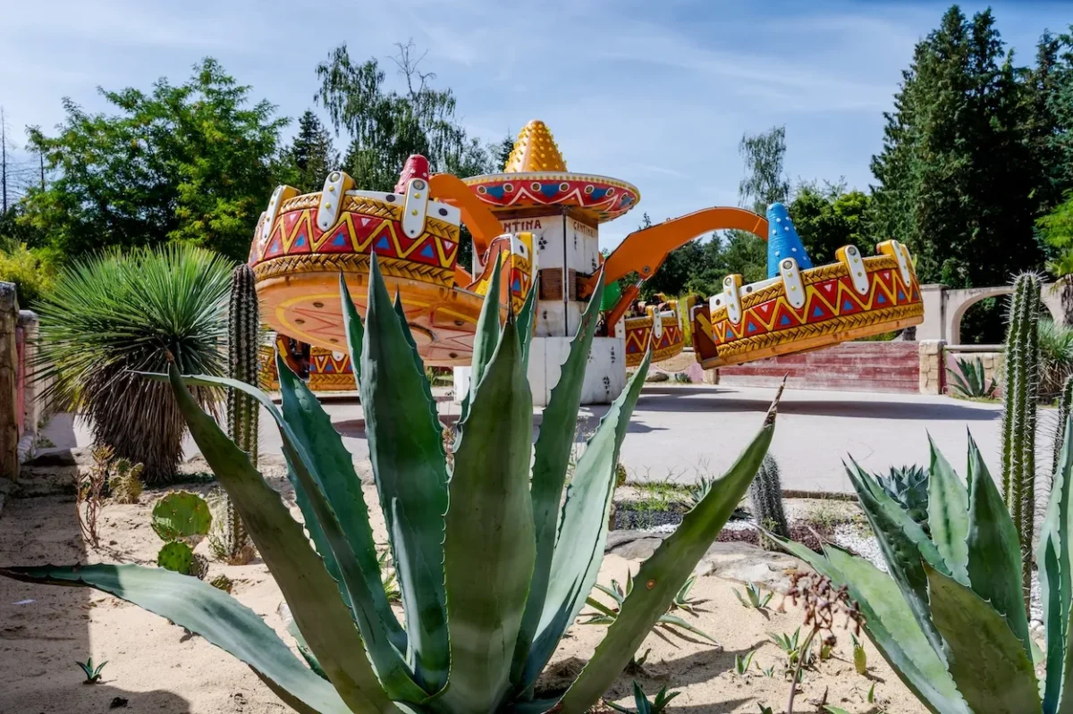 Comparatif des meilleurs parcs d'attractions de France