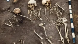 Une peste vieille de 5500 ans Il y a 5 500 ans, la peste frappait déjà des familles entières